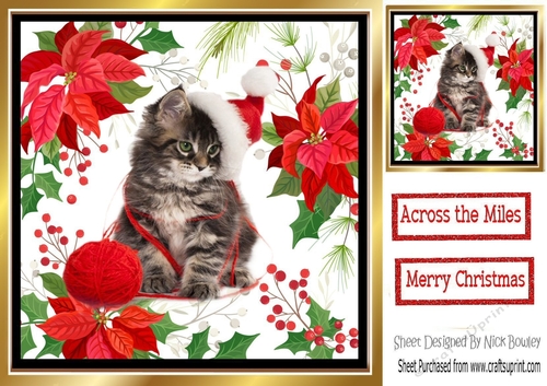  cute kitten in santa hat with red poinsettias  8x8