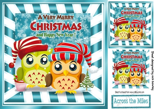 Cute winter owls (one) 8x8