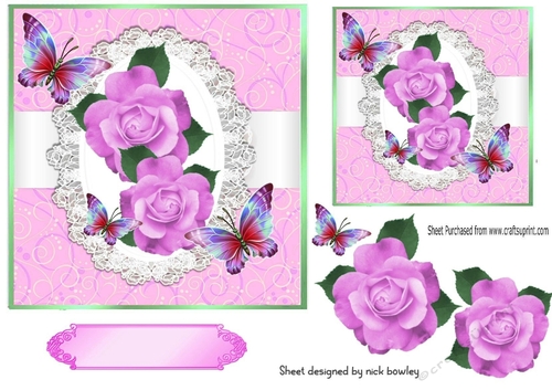 Pretty pink roses on lace with butterflies 7x7