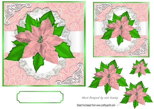 Pretty pink poinsettias on lace toppers 7x7