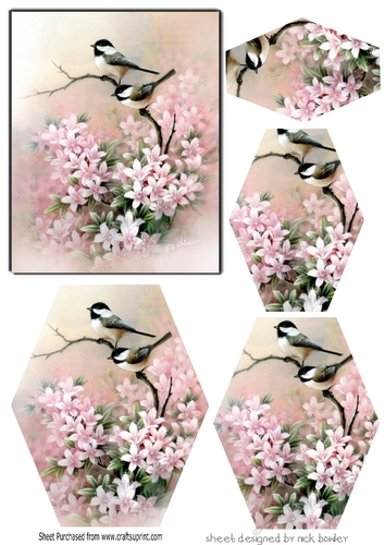 Pretty birds on a branch hexagon pyramids