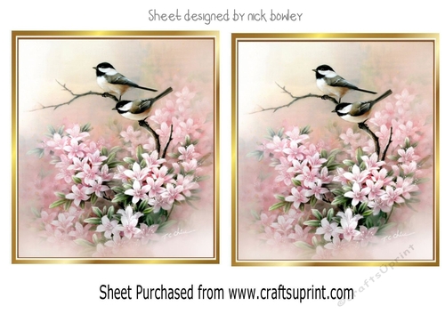 Pretty birds on a branch with pink flowers toppers 