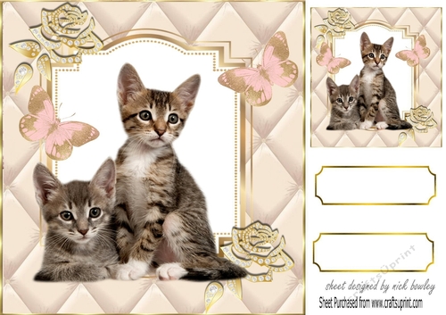 Cute tabby kittens  with butterflies 8x8