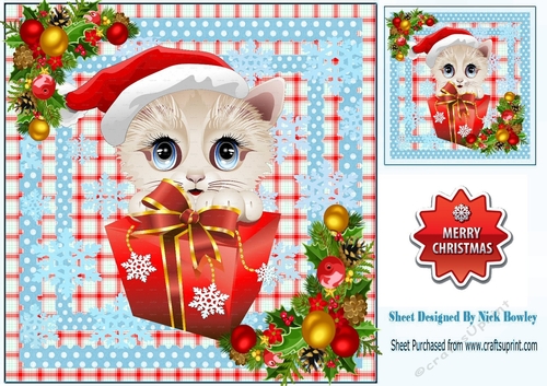 Lovely kitten in a red check/blue dot 8x8 frame