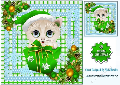 Lovely kitten in a green check/blue dot 8x8 frame 