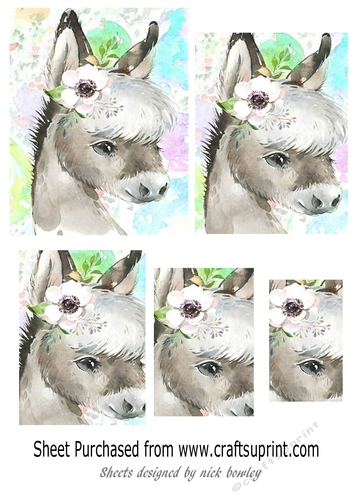 pretty watercolour donkey pyramids