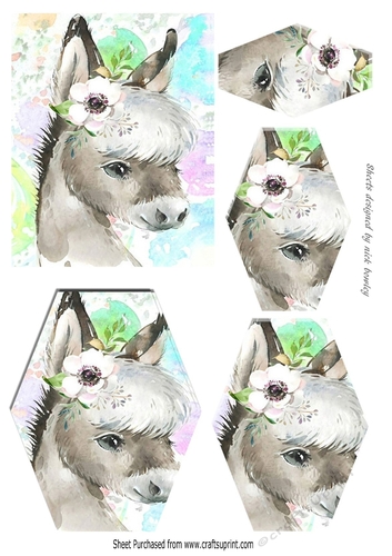 pretty watercolour donkey hexagon pyramids