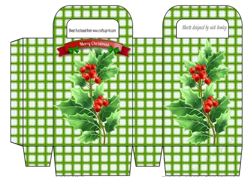 Lovely Holly in green check small gift bag