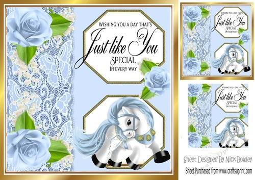 Blue pony with lace and roses 8x8