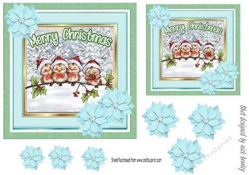 Lovely robins on a branch with blue poinsettias 7x7 card fronts