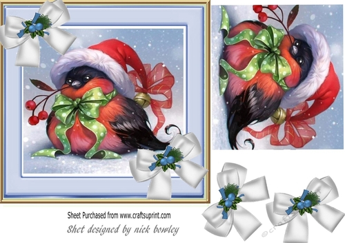 Lovely robbin 7x7 card front with bows