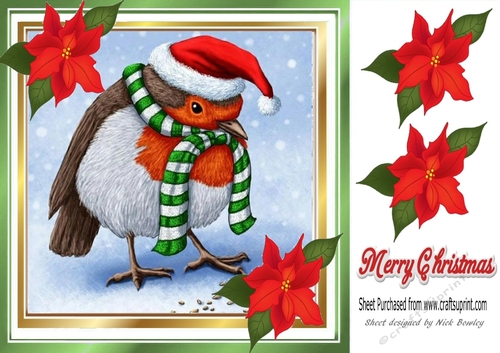 Lovely Robin in santa hat with poinsettias 8x8