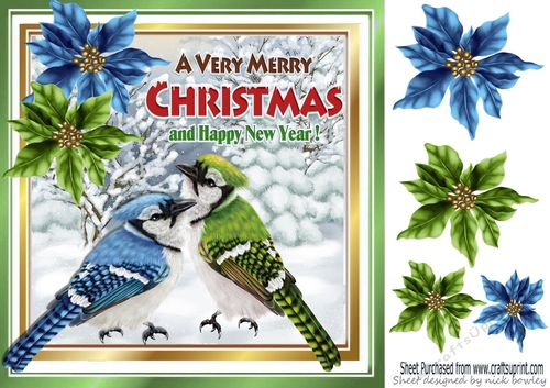 pretty winter birds with coloured poinsettias 8x8 (one)