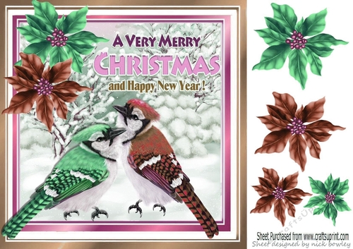 pretty winter birds with coloured poinsettias 8x8 (two)