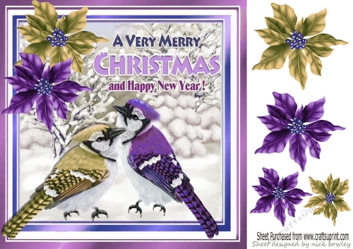pretty winter birds with coloured poinsettias 8x8 (three)