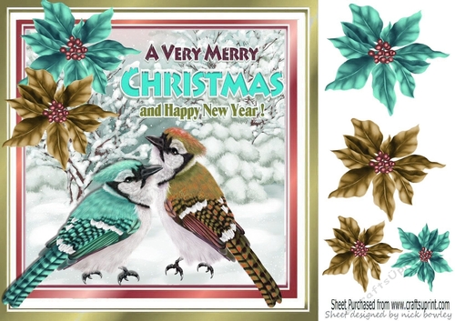 pretty winter birds with coloured poinsettias 8x8 (four)