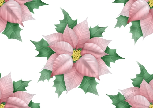 Pretty pink poinsettia  (big) backing paper