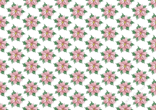 Pretty pink poinsettia  (small) backing paper