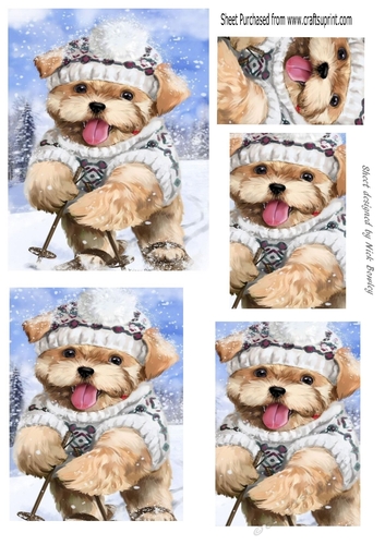 cute puppy in the snow pyramids
