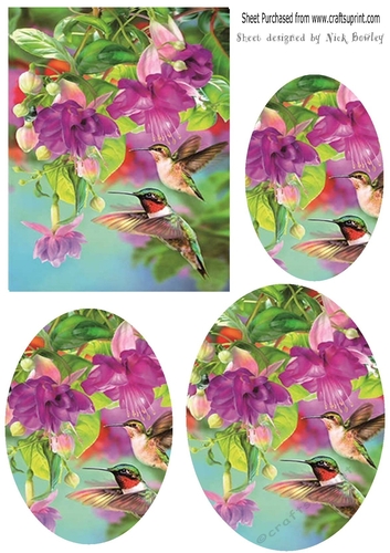 Pretty humming birds with flowers oval pyramids