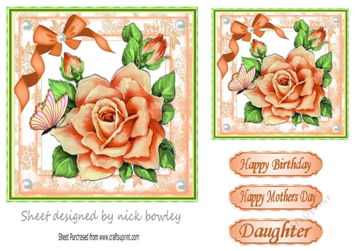 Pretty peach roses with bow and butterfly 7x7
