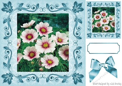 pretty pink flowers in scroll frame with bow 8x8