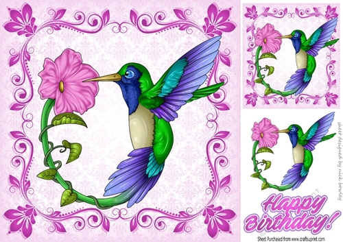 pretty bird with pink flower in scroll frame 8x8