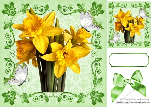 Pretty spring Daffodils with butterflies 8x8