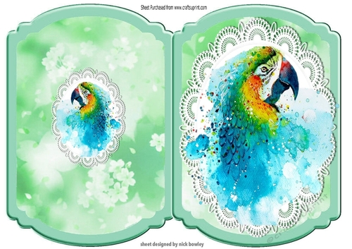 Pretty painted coloured parrot on lace bracket fold card
