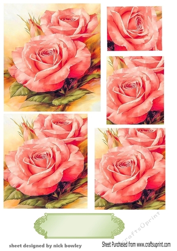 pretty pink roses with pyramid layers