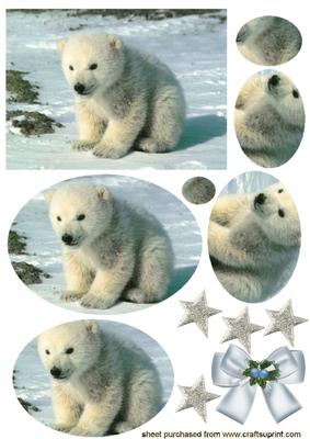 Fluffy White Baby Bear Oval Pyramids