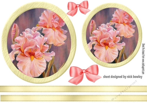 Pretty pink iris toppers with bows