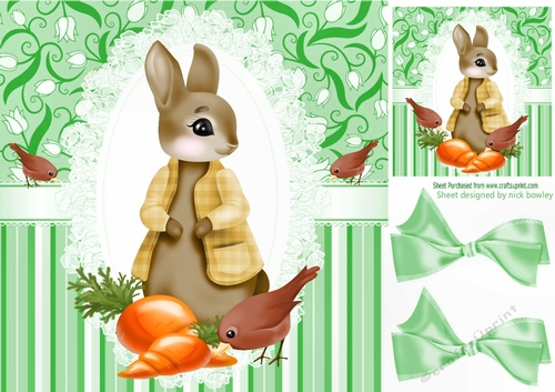 Cute Rabbit, with little birds 8x8