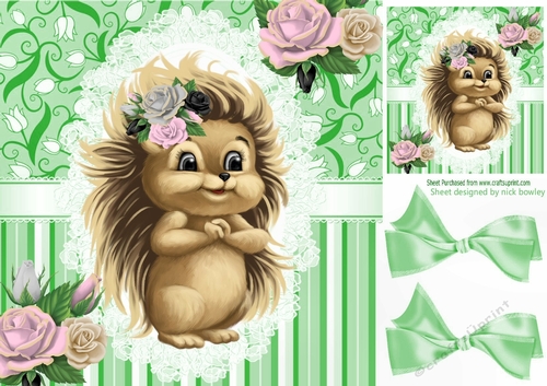 Cute hedgehog, with roses, lace, and bows 8x8