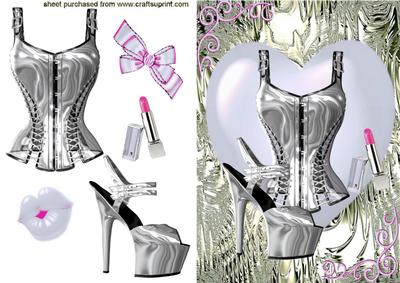 Gorgeous Silver Basque & Shoe in Fantasy Colours White