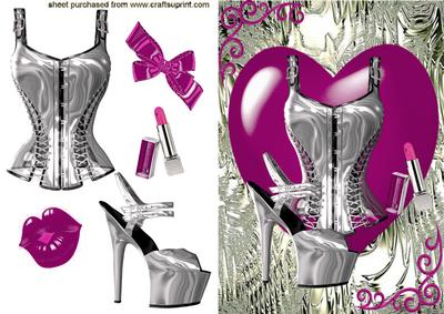 Gorgeous Silver Basque & Shoe in Fantasy Colours Raspberry