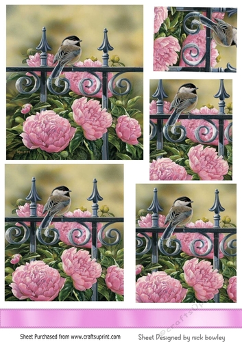 sweet little bird on a rail with pink roses border and pyramids