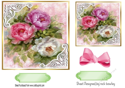 pretty wild coloured roses 7x7