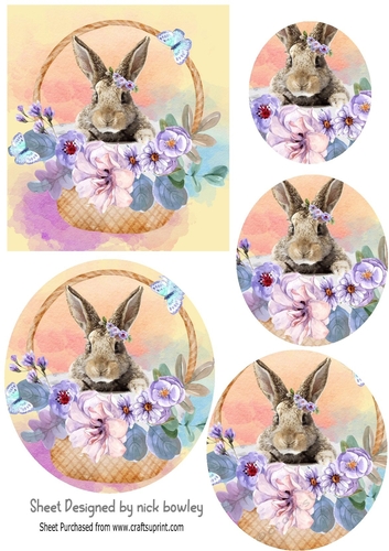 pretty bunny in a basket with flowers oval pyramids