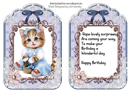 2 pretty ornate lace and bow card fronts A5 (blue) insert/ kitty