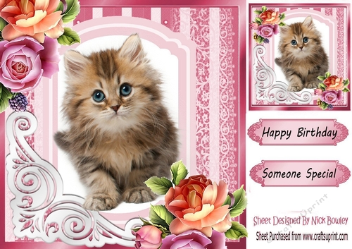 fancy pink lace ornate corner card front 8x8 with kitten & roses