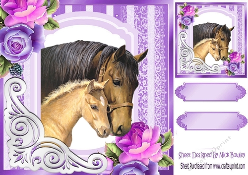 fancy purple lace ornate corner card front 8x8 with horses