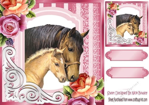 fancy pink lace ornate corner card front 8x8 with horses