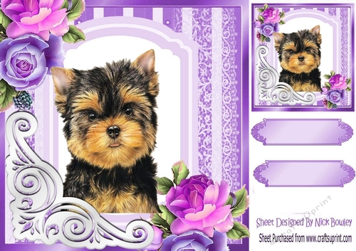fancy purple lace ornate corner card front 8x8 with a yorkie
