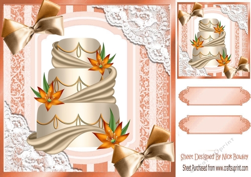 Pretty lace corners with orange cake and bows 8x8