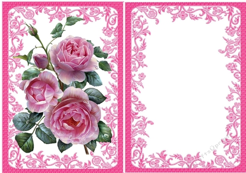 pretty pink roses with insert in ornate A5 frame
