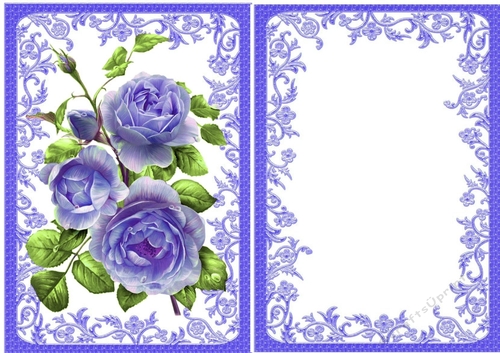 pretty roses with buds with insert in ornate A5 frame