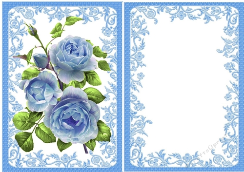 pretty blue roses with insert in ornate A5 frame
