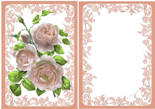 pretty peach roses with insert in ornate A5 frame
