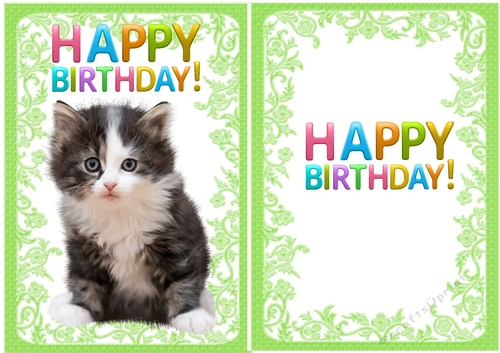  My little black and white kitty A5 with insert (green)